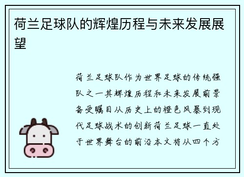 荷兰足球队的辉煌历程与未来发展展望